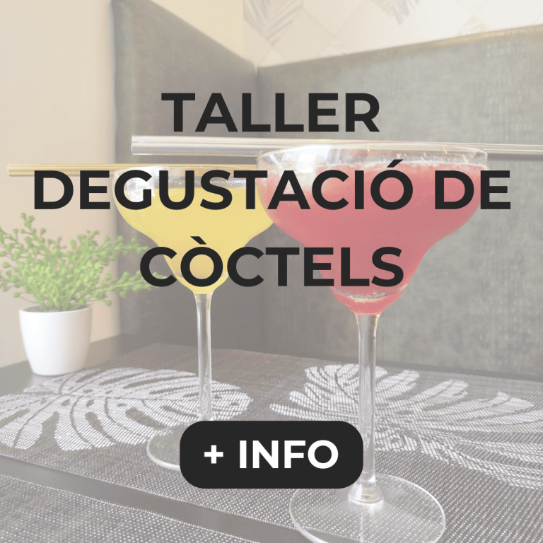 Actividad taller de degustación de cócteles